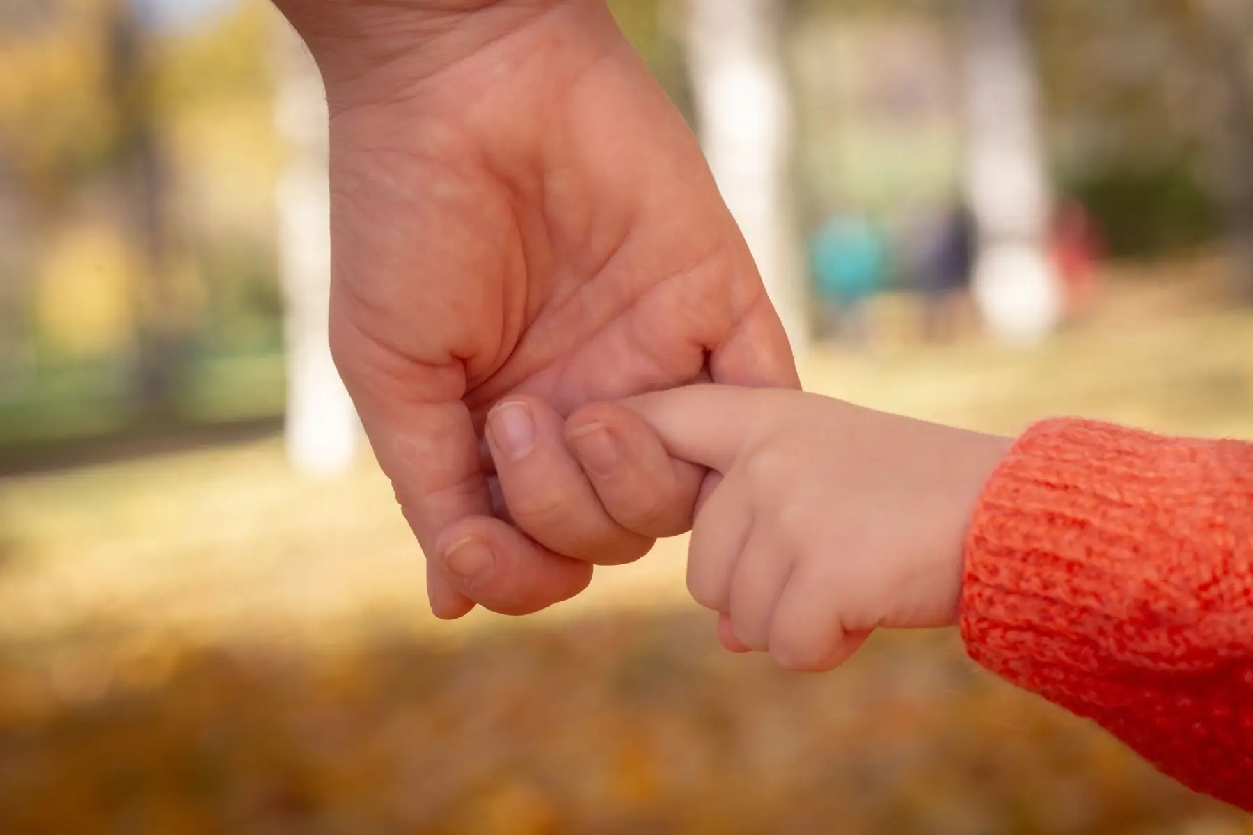 La mano de un adulto sostiene la de un chico